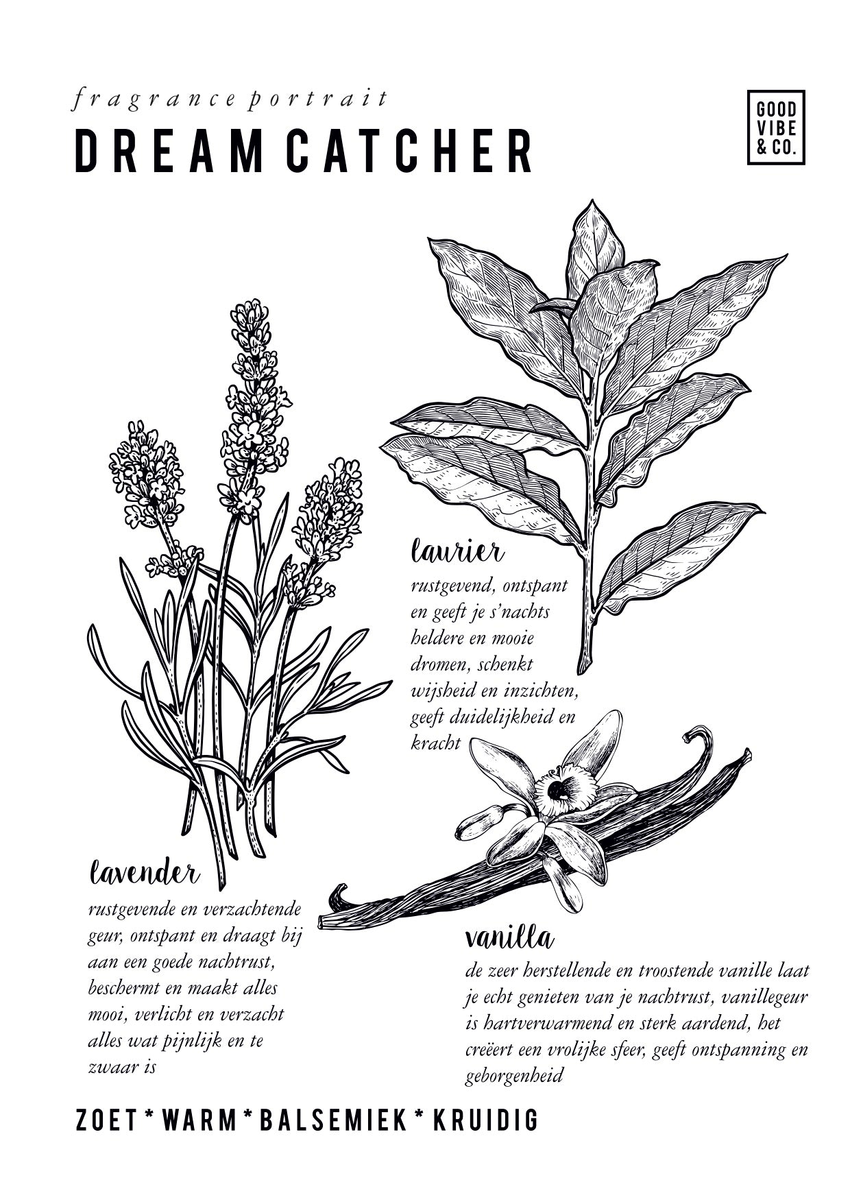 DREAM CATCHER Aromatherapie sojakaars 120 ml