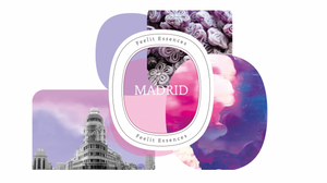 MADRID sojakaars - violette